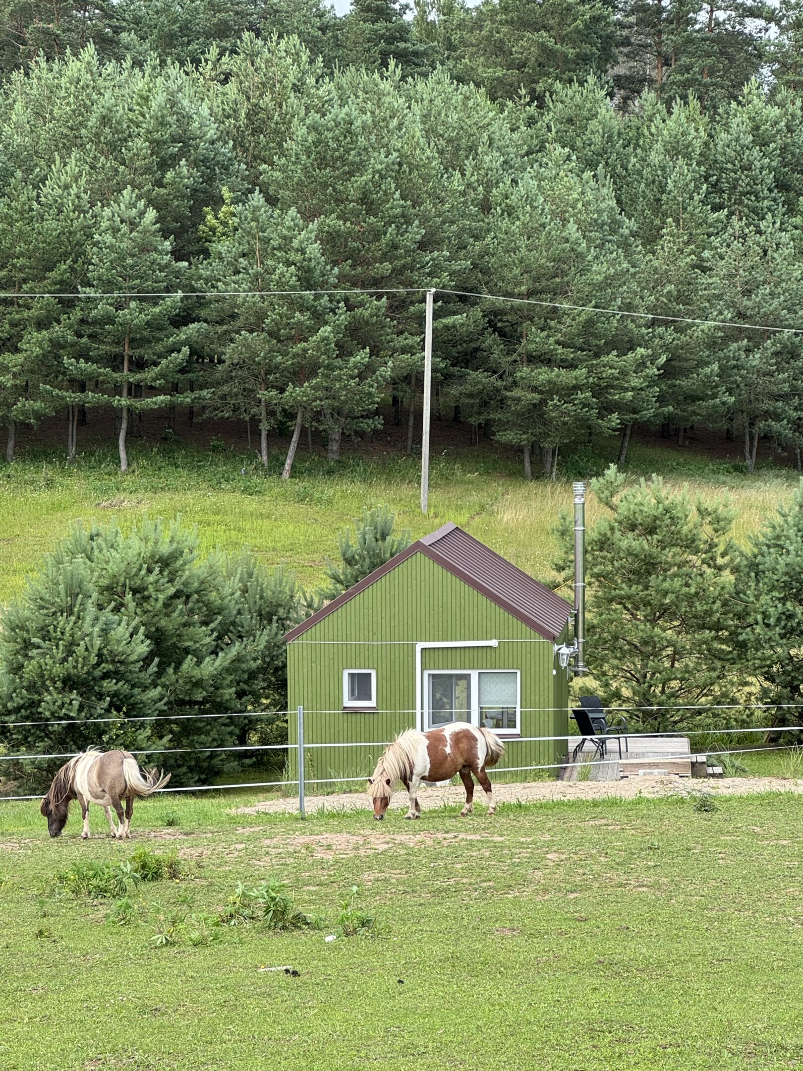 Romantiškas PUŠŲ namelis dviems su arkliukų kaimynyste